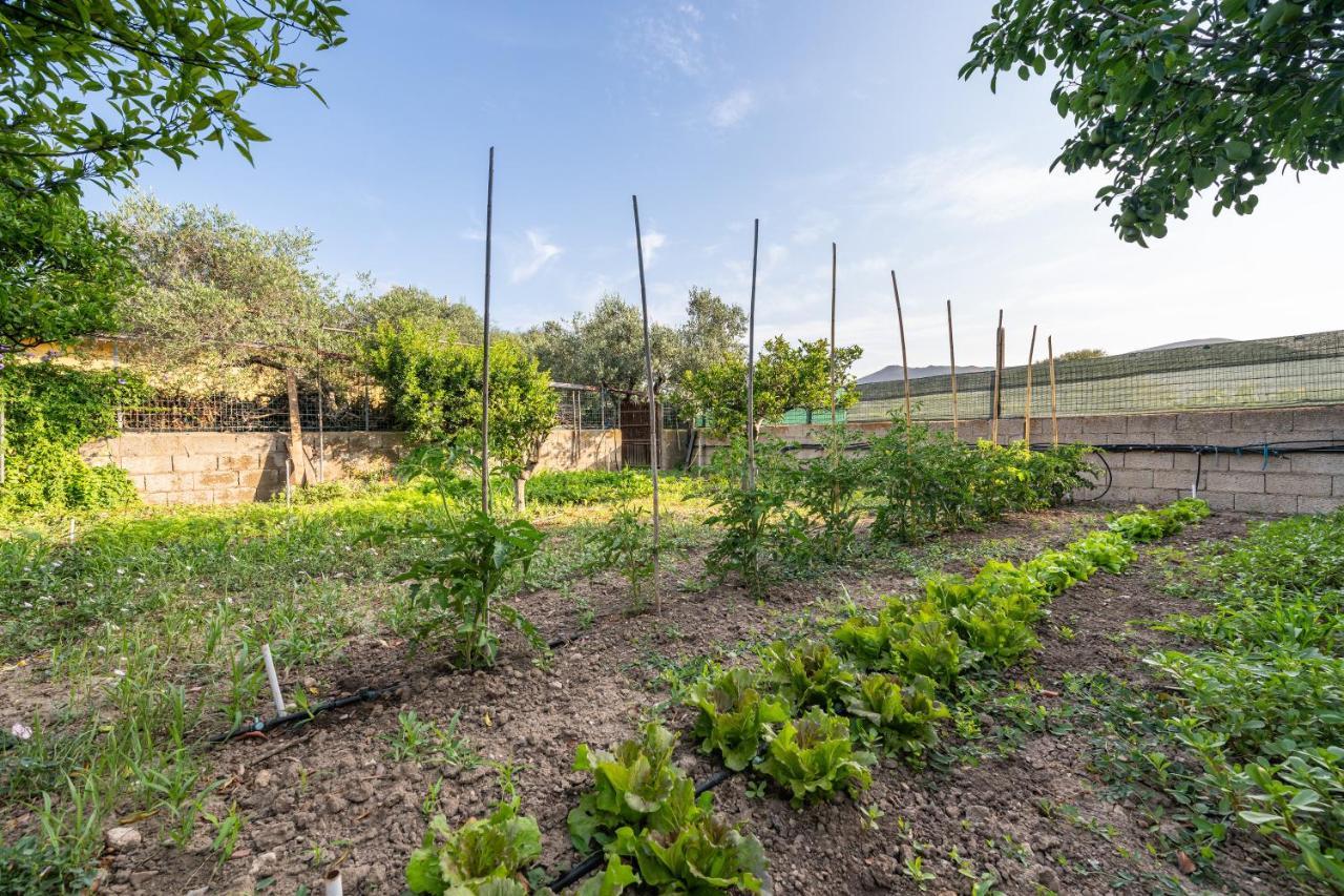 Casa Vacanze San Giovanni San Giovanni Suergiu Bagian luar foto